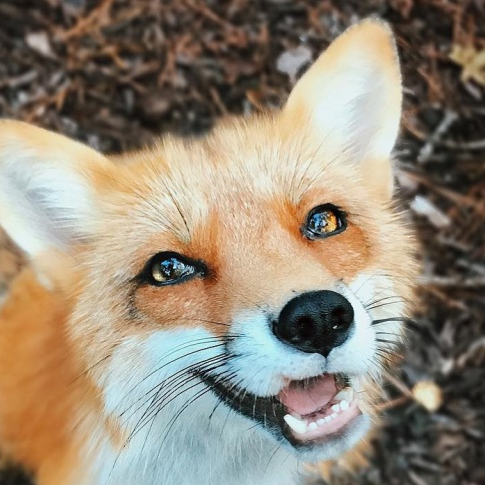 User profile image
